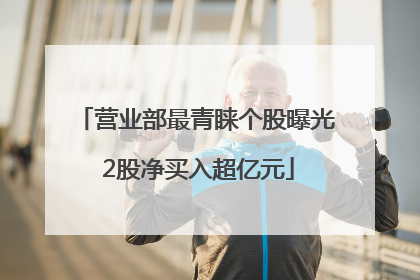 营业部最青睐个股曝光 2股净买入超亿元